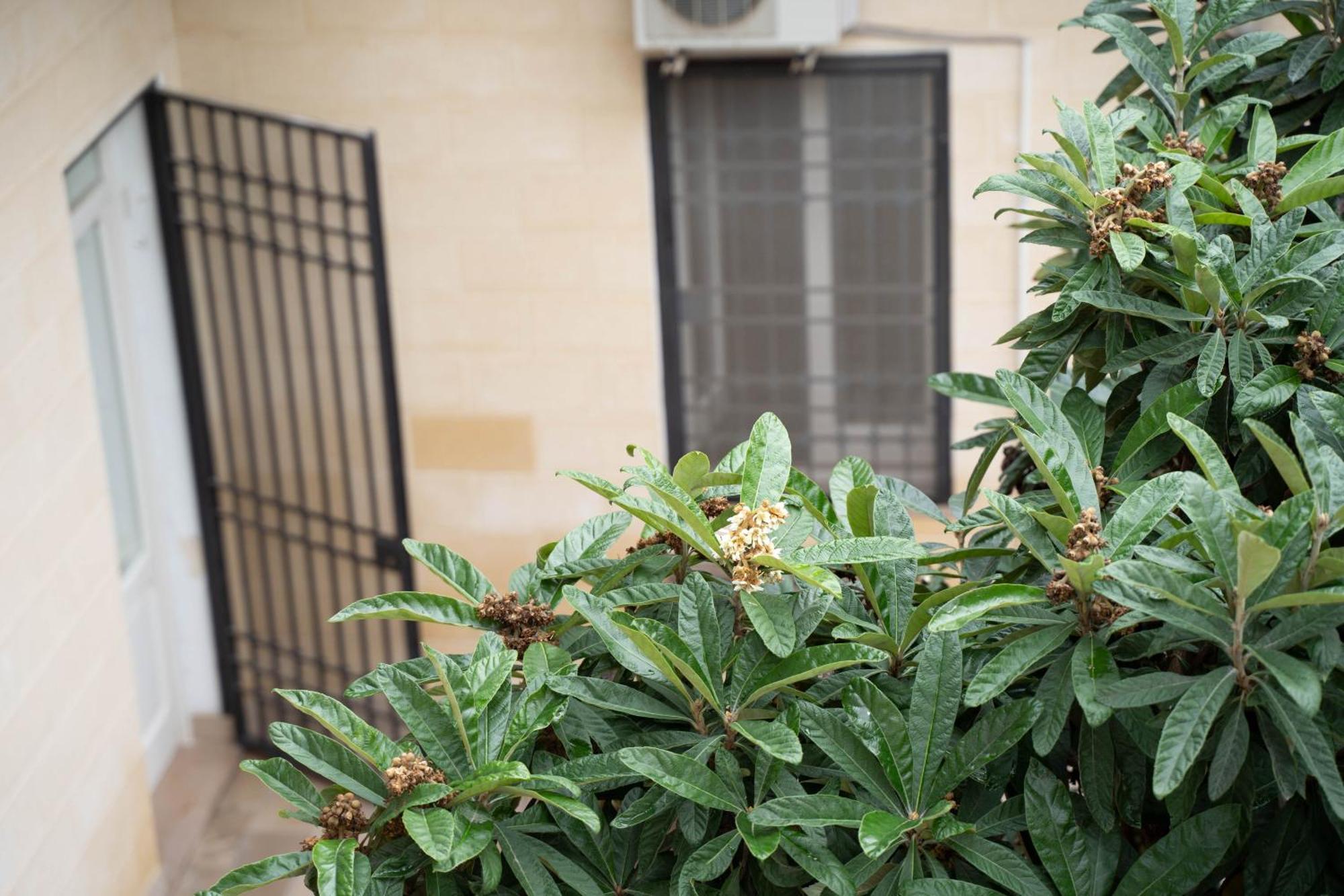 Victoria Apt - Historical Centre לצ'ה מראה חיצוני תמונה